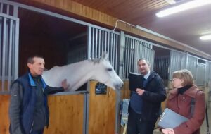 Буковина: у кінноспортивному комплексі забезпечено технічну консультацію