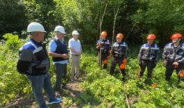 Тернопільщина: опрацьовано безпечне очищення траси повітряної лінії